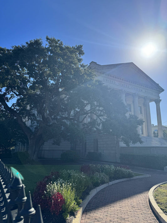 Taking a walk in the streets of Charleston, SC