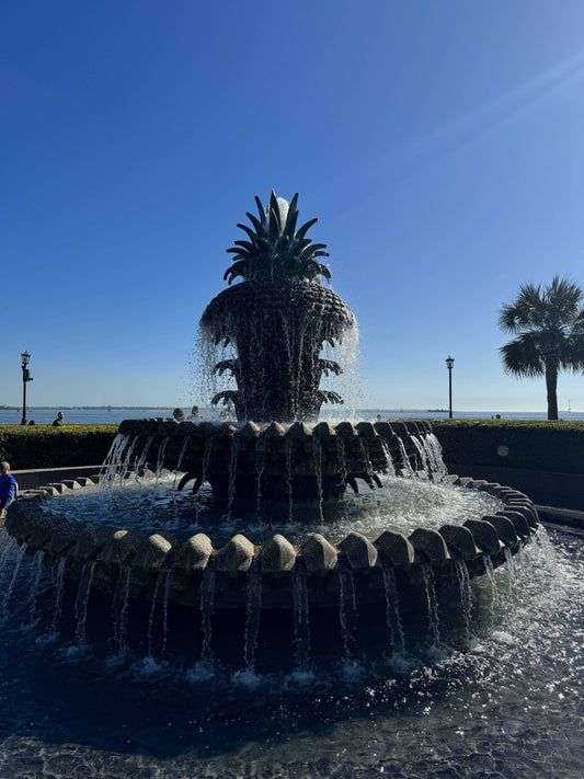 Charleston's Endearing Icons: The Story of the Pineapple Fountain and Rainbow Row