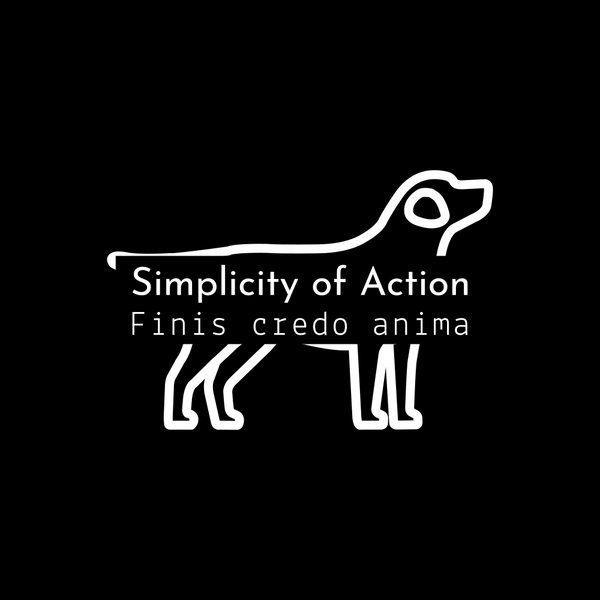 Simplicity of Action